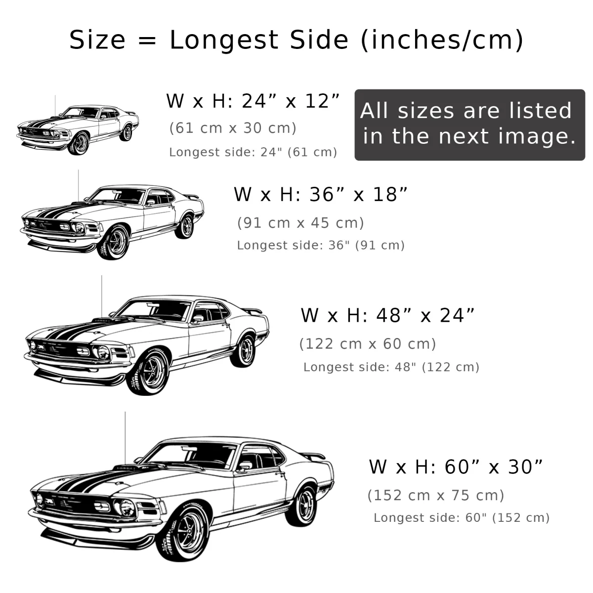 Close up of the front of the 1970 Ford Mustang Mach metal decor